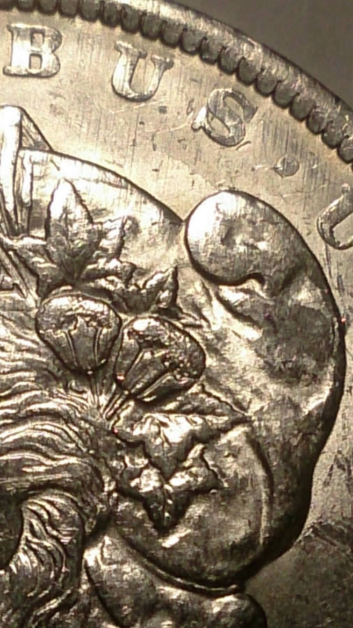 1884-O-Morgan-VAM-48-A-+-Struck-Through-Cloth?